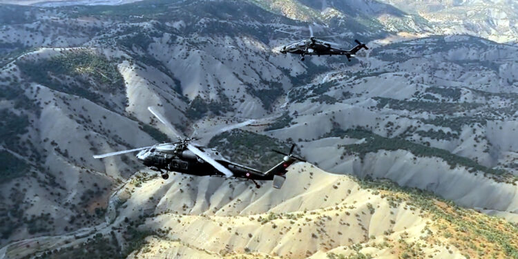 1'i yeşil, 1'i gri kategoride yer alan 2 terörist etkisiz hale getirildi