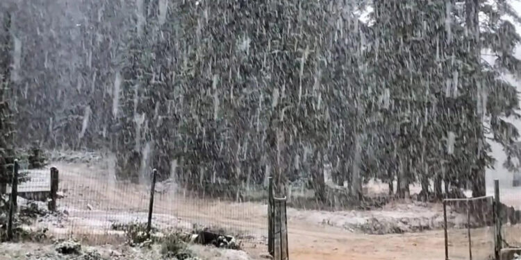 bartın'a mevsimin ilk karı düştü