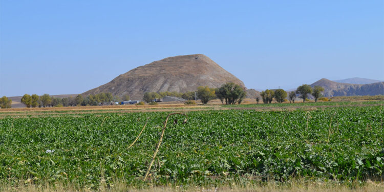 Sulu tarım sistemi tehlike oluşturuyor