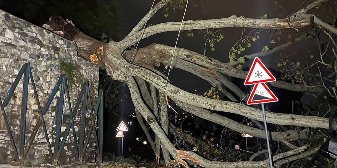 Bursa Valisi Mahmut Demirtaş'ın, gece saatlerinde sosyal medya hesaplarından yaptığı paylaşımda; "Hava şartları nedeniyle Bursa'da 5 ilçede okullar tatil edildi" açıklaması yaptı.