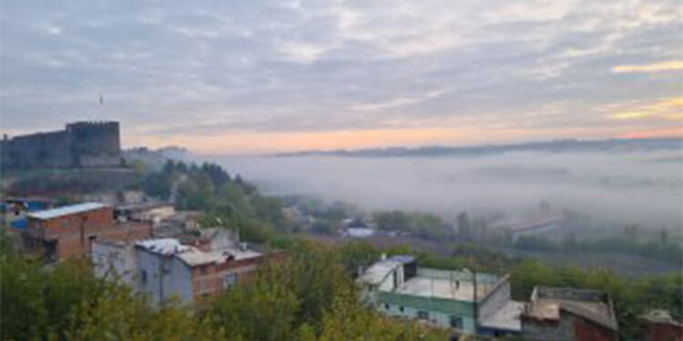 Diyarbakır'da sis sürücülere zor anlar yaşattı