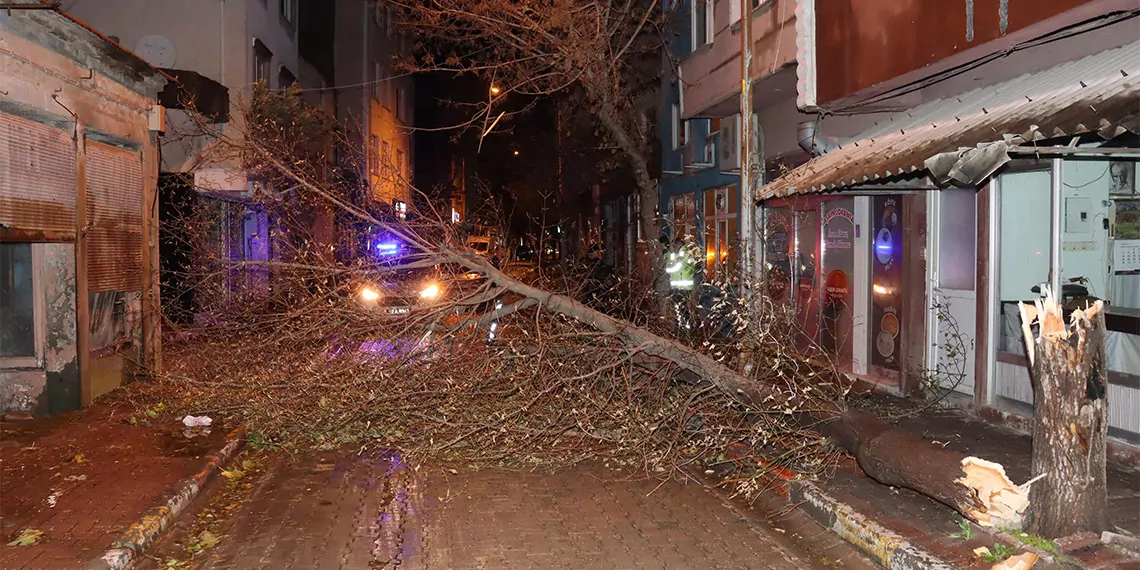 Edirne'de lodos ağaçları devirdi