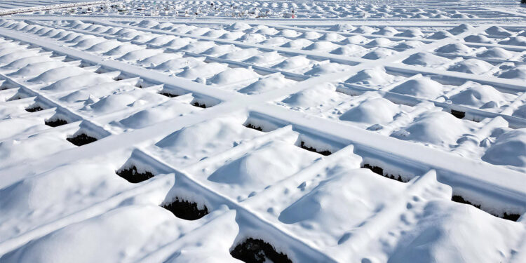 Erzurum'da yüzlerce kışlık mezar kazıldı