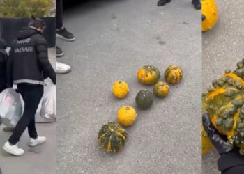 Bal kabağına gizlenmiş 14 kilo uyuşturucu ele geçirildi