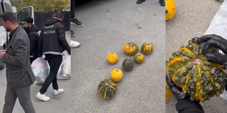 Bal kabağına gizlenmiş 14 kilo uyuşturucu ele geçirildi