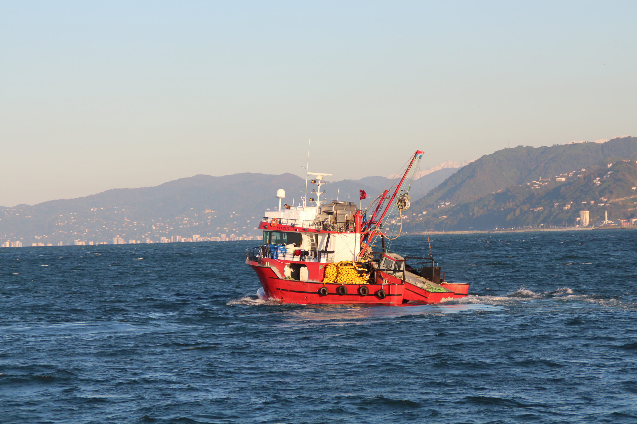 Seneye hamsi bulamayacağız