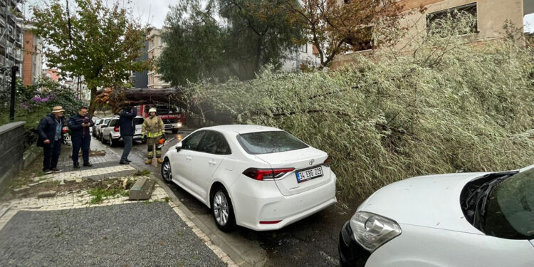 İBB ekipleri 2 bin 921 ihbara müdahale etti