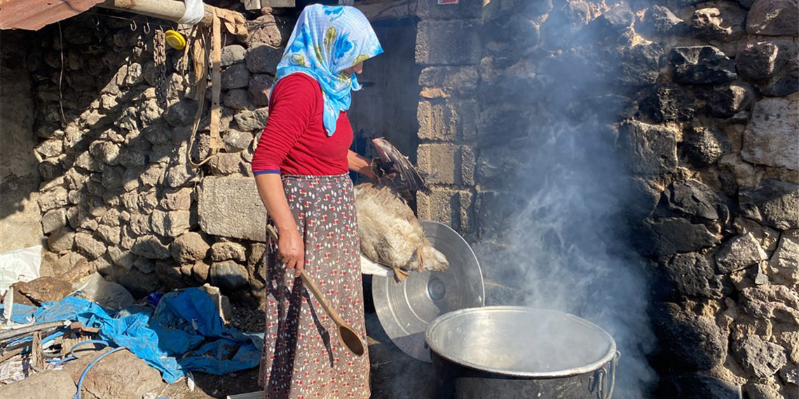 Kars kazının tanesi 1000- 1200 TL'den, tüyleri ise kilosu 400- 500 TL’den satılıyor. Akyaka ilçesinde kaz yetiştiren Sarıgül Kaçan (70), “Kazın çöpe atılan hiçbir organı yok. Tüyü, ayağı, boynu, kafası, kanadı, ciğerini de değerlendiriyoruz” dedi.