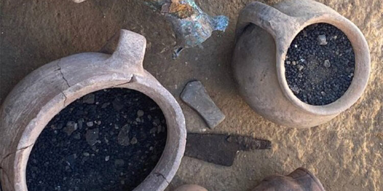 Hadrianopolis Antik Kenti'nde 1600 yıllık tohum bulundu