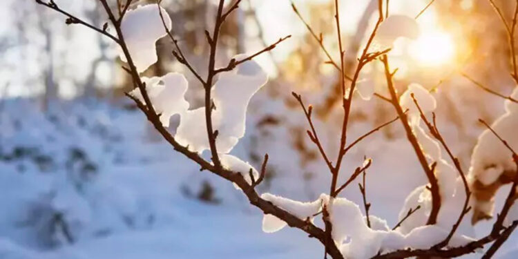 kış aylarında hava sıcaklığı normalin üzerinde olacak