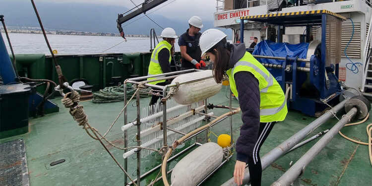 Kuşadası Körfezi'ndeki fay zonu araştırması tamamlandı
