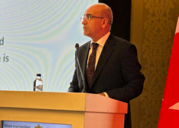 Hedefimiz BAE ile ticaret hacmimizi 25 milyar dolara çıkartmak