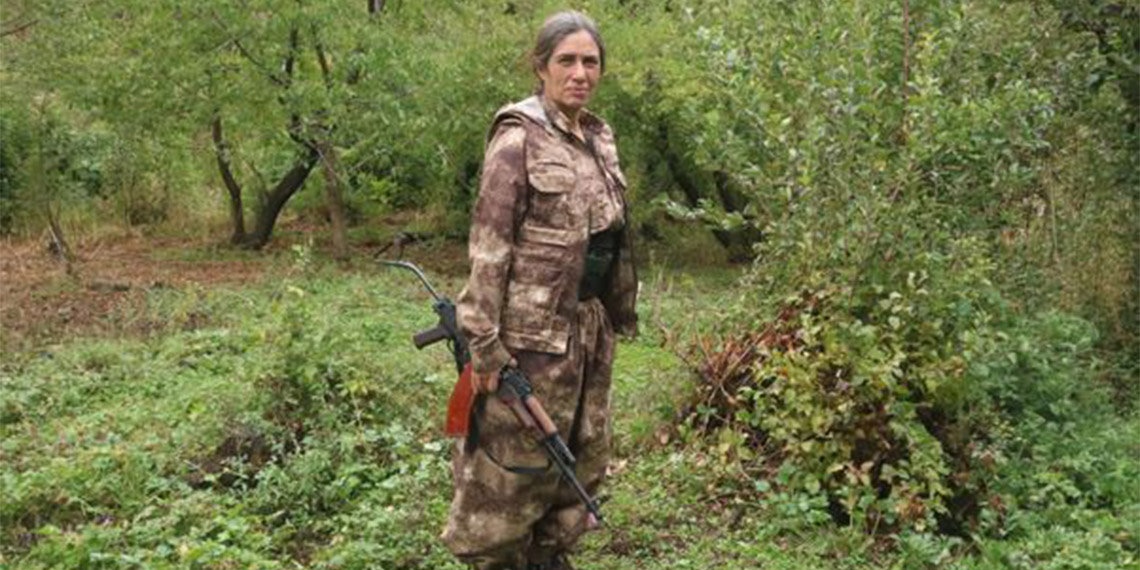 PKK/KCK'nın sözde sorumlusu etkisiz hale getirildi