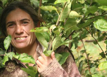 PKK/KCK'nın sözde sorumlusu etkisiz hale getirildi