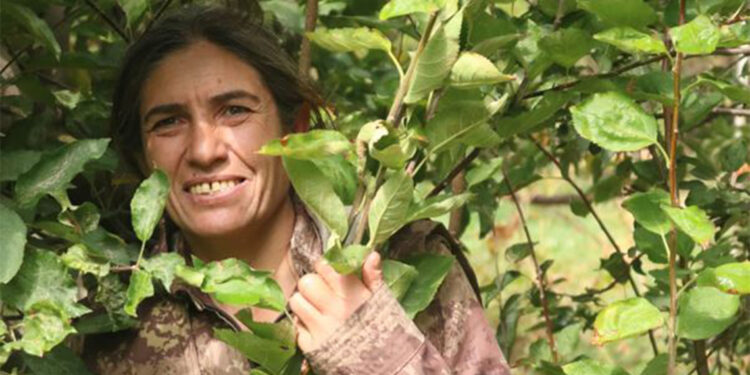 PKK/KCK'nın sözde sorumlusu etkisiz hale getirildi