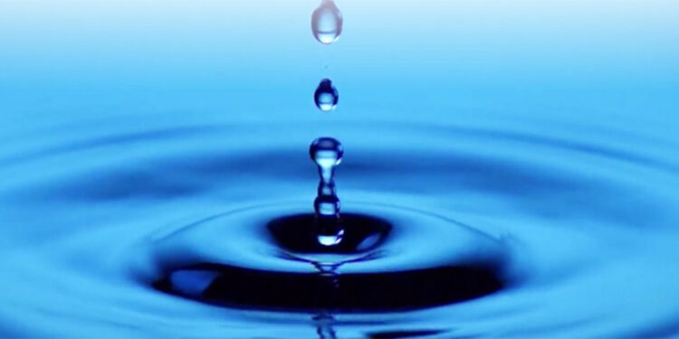 Prof. Dr. Ardalı'dan ‘Sanal su’ uyarısı