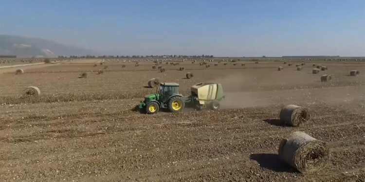 Anız yakmak deste deste parayı alıp yakmak demektir