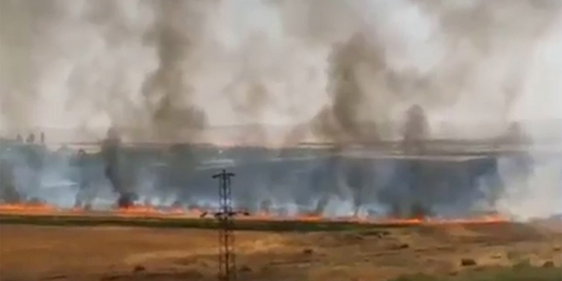 Ege Üniversitesi'nden Prof. Dr. Nuri Azbar, hasat sonunda yakılan anızla ilgili, “Çiftçi bindiği dalı kesiyor. Anız yakmak deste deste parayı alıp yakmak demektir" dedi.