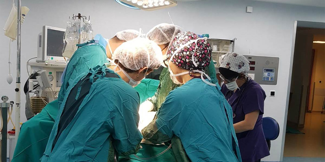 Bursa Uludağ Üniversitesi (BUÜ) Tıp Fakültesi Organ Nakli Merkezi Müdürü Prof. Dr. Ekrem Kaya, pandemi öncesi Bursa bölgesinde kadaverik organ bağış oranının yüzde 26,3 olduğunu belirtti.