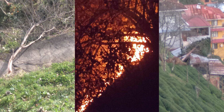 Fırtınanın devirdiği elektrik direkleri yangına neden oldu