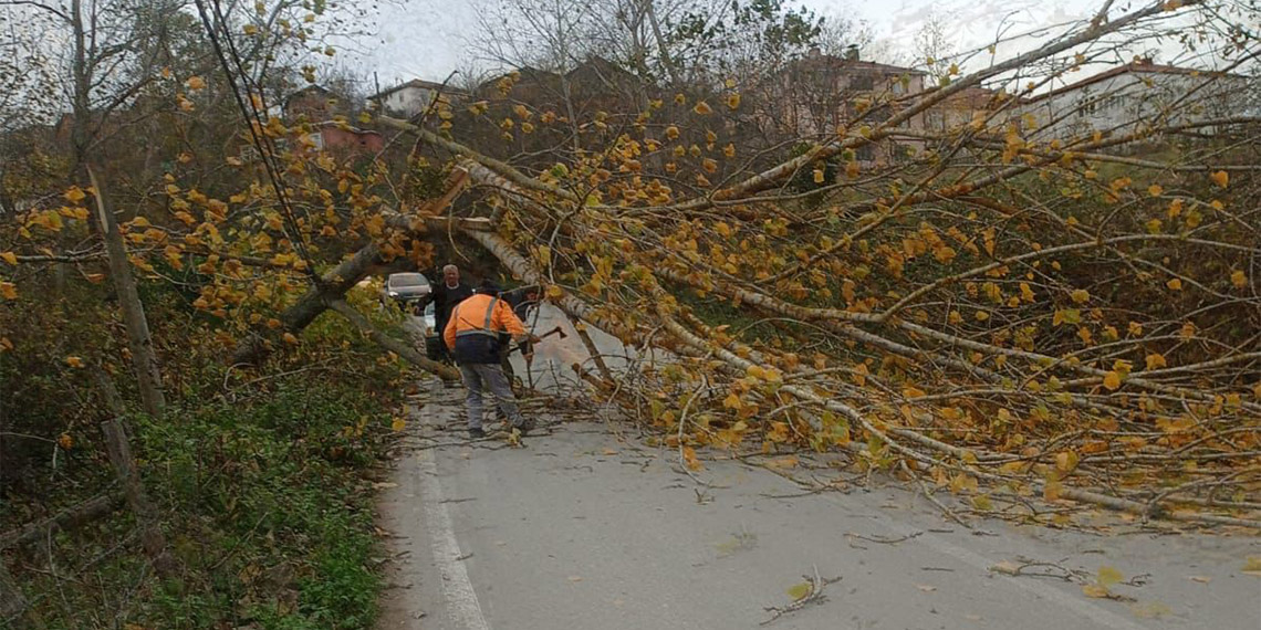 Samsun'da fırtına nedeniyle elektrik direkleri devrildi