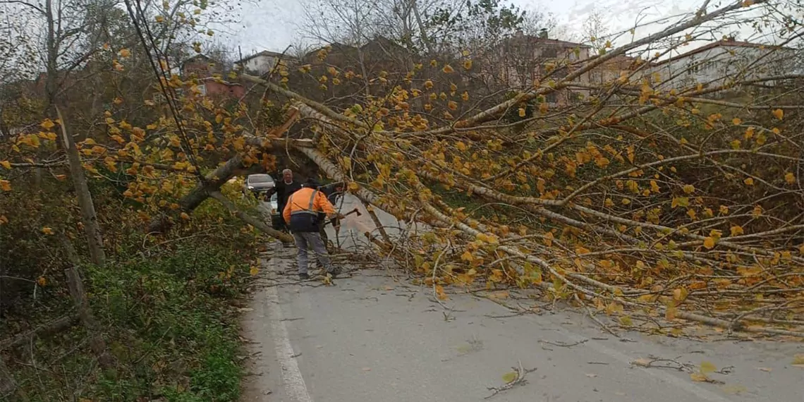 Samsun'da fırtına nedeniyle elektrik direkleri devrildi