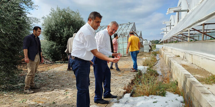 Antalya'da dolu seralara ve ekili ürüne zarar verdi
