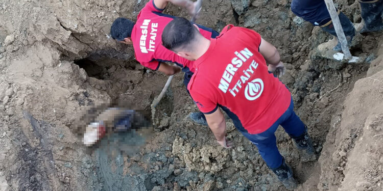 Su kuyusu kazısında göçük; 2 ölü