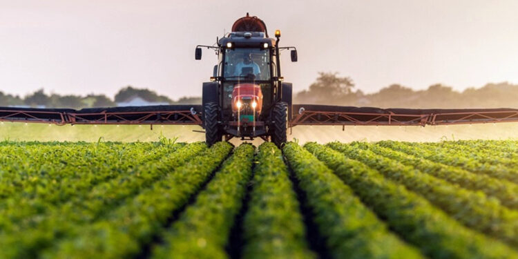 Tarımsal girdi fiyat endeksi eylülde arttı