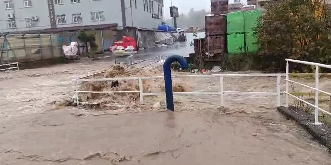 Zonguldakta saganak ve firtina agaclar devrildi gemi karaya oturdu 5 6381 dhaphoto8 - öne çıkan - haberton