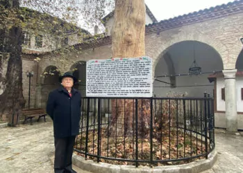 350 yıllık çınar ağacı heykel oldu