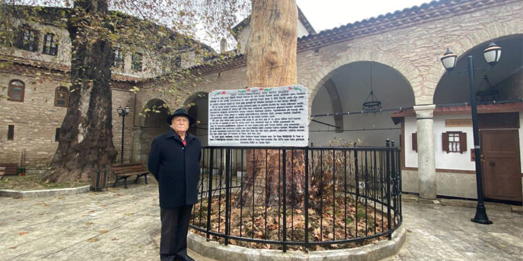 350 yıllık çınar ağacı heykel oldu