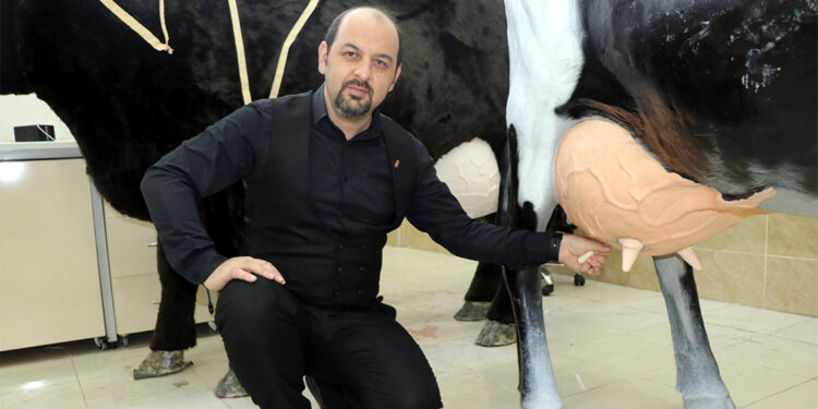 3D yazıcı ile 3 farklı simülatör inek üretti