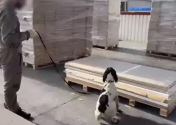 66 milyon TL değerinde uyuşturucu ele geçirildi