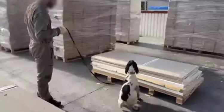 66 milyon TL değerinde uyuşturucu ele geçirildi