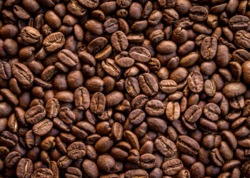 Anisah Coffee, günlük kahve üretimini açıkladı