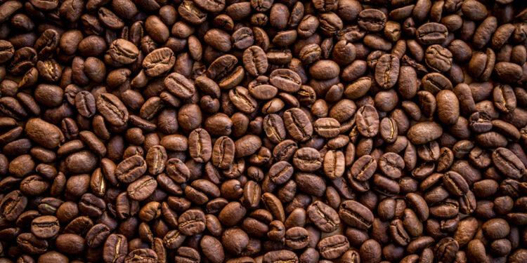 Anisah Coffee, günlük kahve üretimini açıkladı