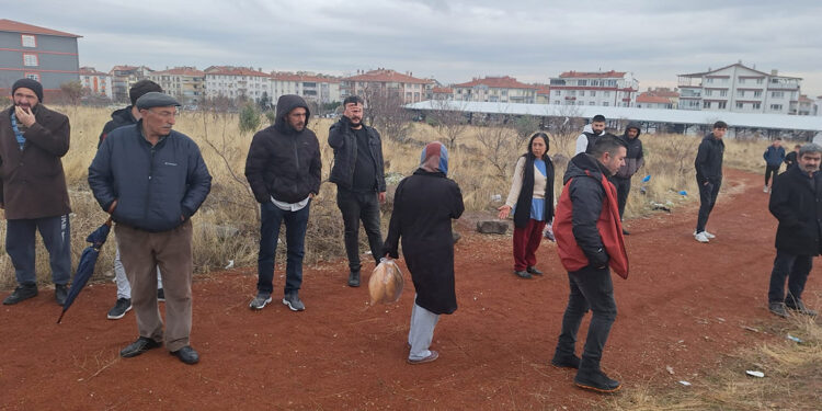 Ankara'da sahipsiz köpeklerin saldırısıyla ilgili soruşturma başlatıldı