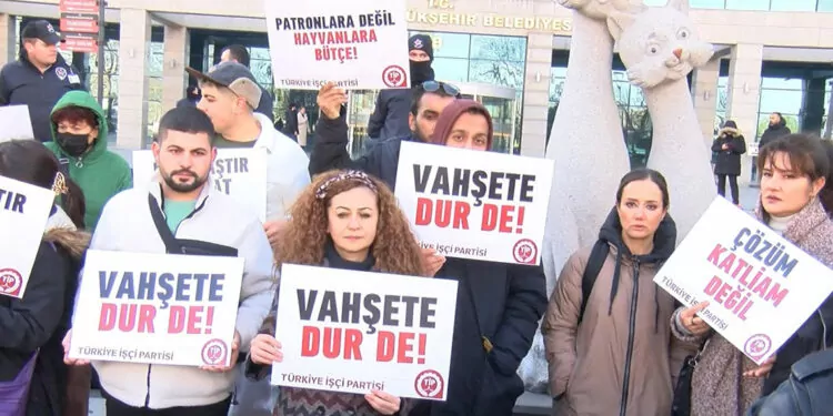 Ankara'da sokak köpeklerinin toplanmasına tepki