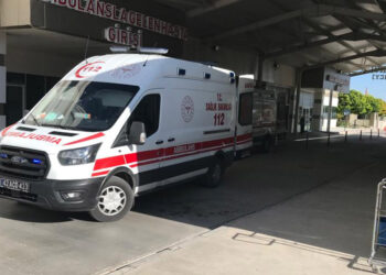 Anne ve 10 yaşındaki kızı, yedikleri mantardan zehirlendi