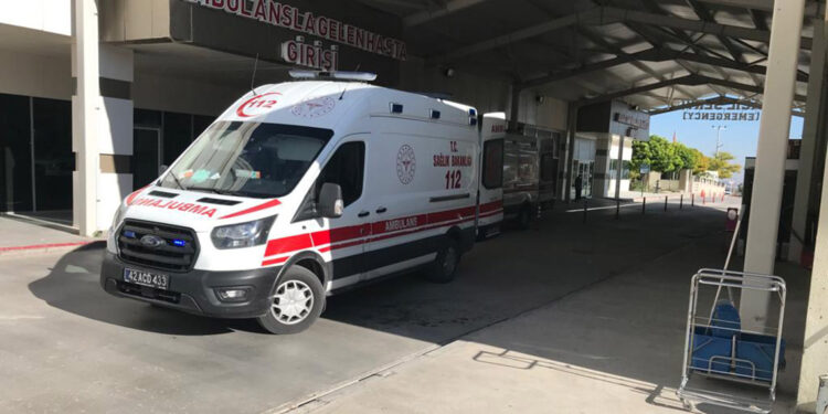 Anne ve 10 yaşındaki kızı, yedikleri mantardan zehirlendi