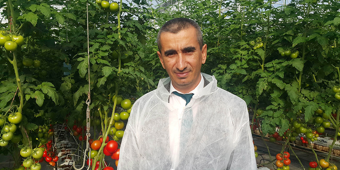 Antalya topraksız örtü altı tarımda da zirvede