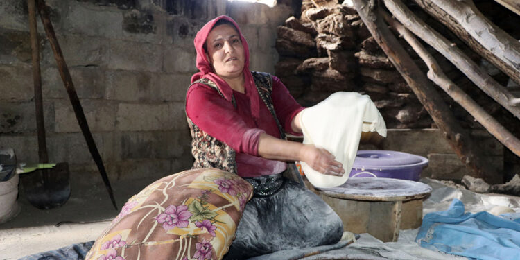 Araştırma yapan doktordan 'tandır evi' uyarısı