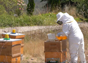 Arıcılık Kursu’nu tamamlayan 40 kursiyere sertifika