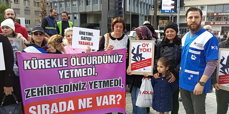 Aydın'da 30 köpek ve 3 tilkinin öldürülmesi protesto edildi