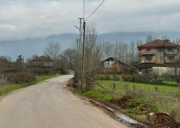 Bartın'da şap hastalığı nedeniyle 12 köy karantinaya alındı