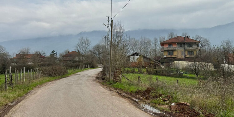 Bartın'da şap hastalığı nedeniyle 12 köy karantinaya alındı