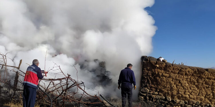 Başkale'de çıkan yangında 3 bin 500 bağ ot kül oldu