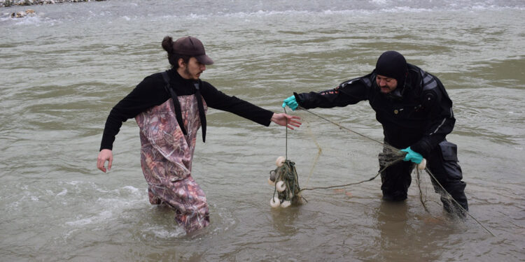 'Batman bantlı çöpçü balığı'nın korunması için temizlik