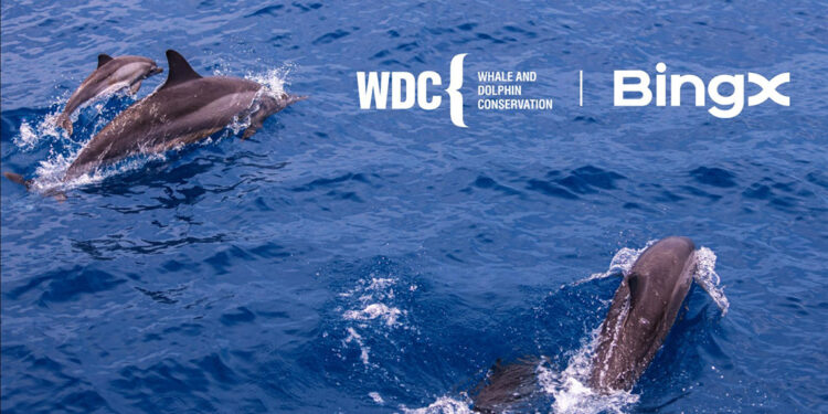 BingX Yardım Kuruluşu, ilk iş birliğini duyurdu